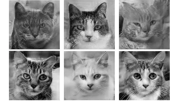 Samples of cat images generated by our Progressive Growing GAN