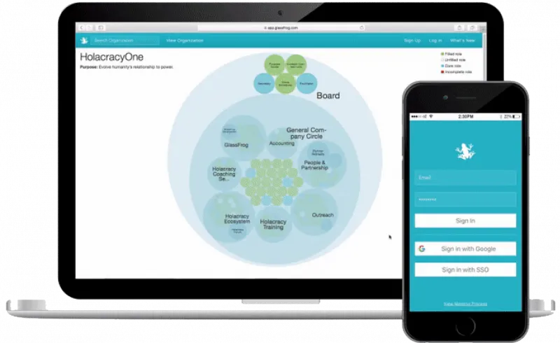 Glassfrog platform dashboard showing organizational structure, roles, and responsibilities management in a visual-rich Holacracy interface